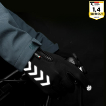 Lade das Bild in den Galerie-Viewer, Thermofrost - Thermohandschuhe zum Laufen
